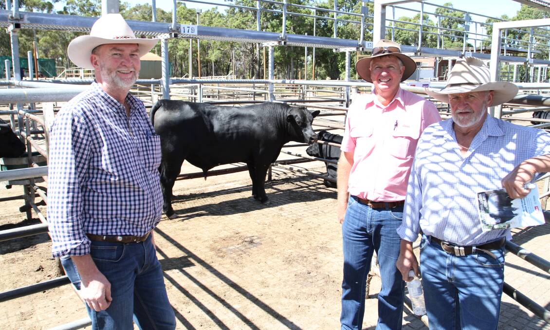 Alcoa Farmlands manager Vaughn Byrd (left), Wagerup, Michael Longford, Elders Waroona and Alcoa Farmland's farm co-ordinator Richard Gardiner, Wagerup, with one of the four bulls purchased by Alcoa Farmlands at the Gandy Angus bull sale.