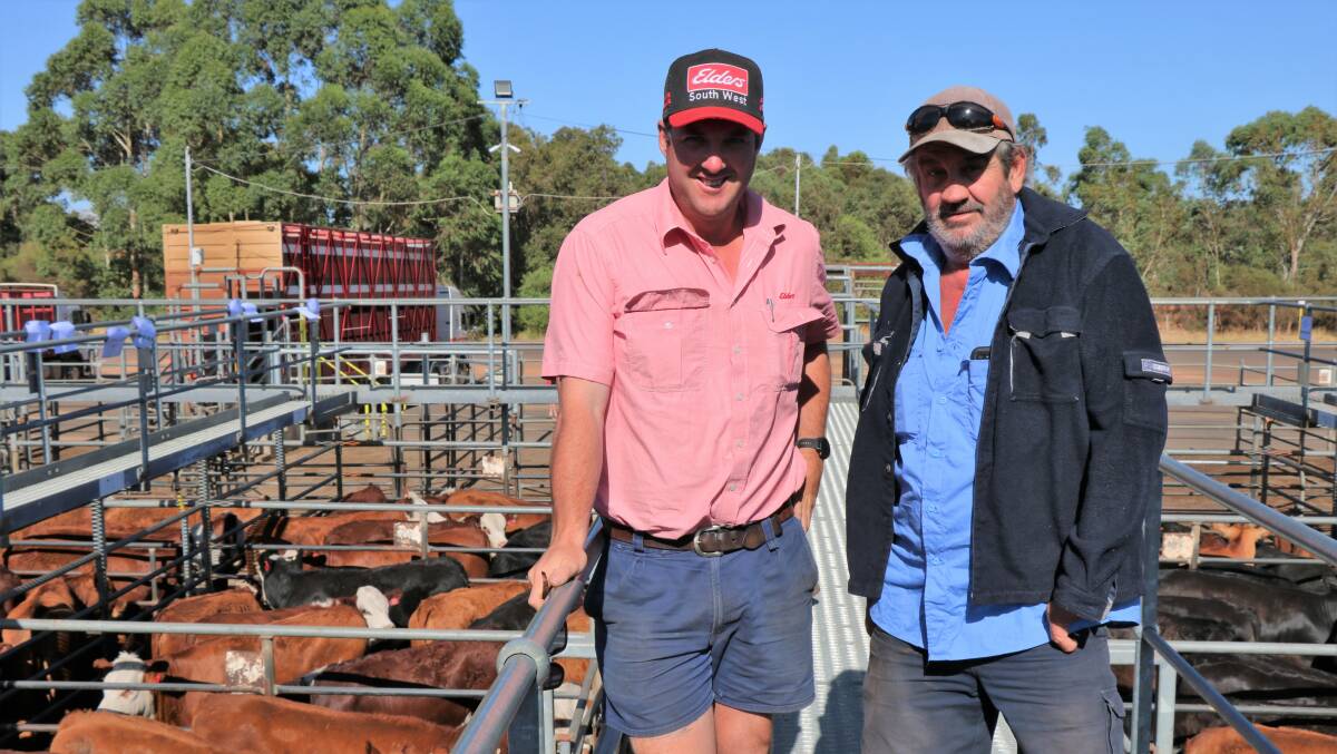 Cameron Harris (left), Elders Manjimup, caught up with Kevin Knipe, Bridgetown, before the sale.