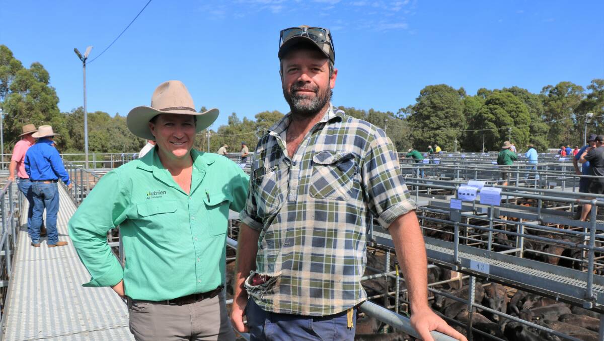 Nutrien Livestock Bridgetown agent Ben Cooper (left) with his client Matt Della Gola, Tonebridge Grazing, at the WALSA weaner sale at Boyanup last week. Mr Della Gola sold 68 Angus steers to top at $1935 and average $1868.