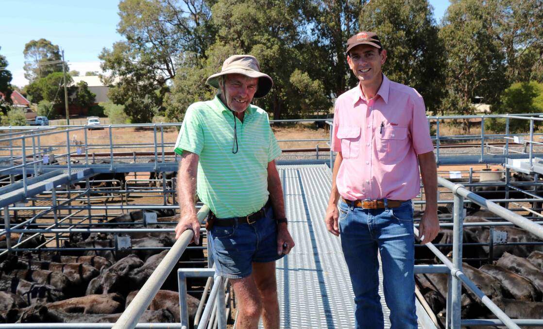 Kim Hough (left), Australind, came to the Elders Boyanup sale looking for red cattle to buy and was on the rail with Elders South West livestock manager Michael Carroll.
