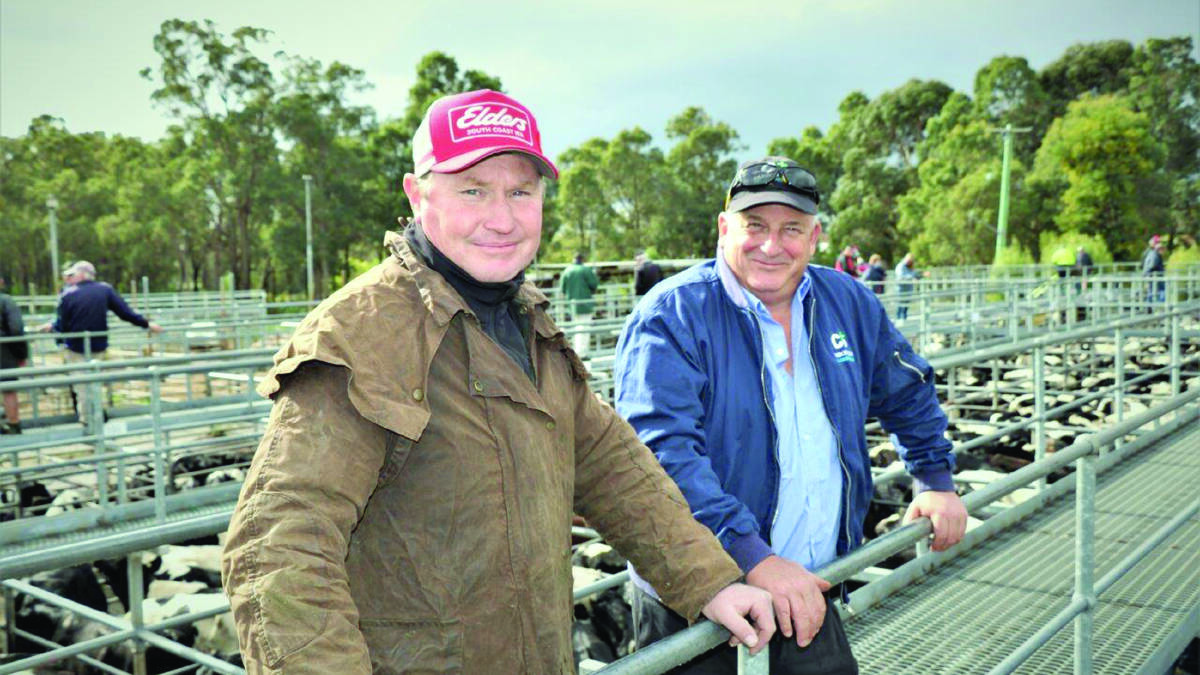 David Lindberg (left), Elders Albany, attended the sale at Boyanup and was pictured while talking with Steve Italiano, Brunswick. 