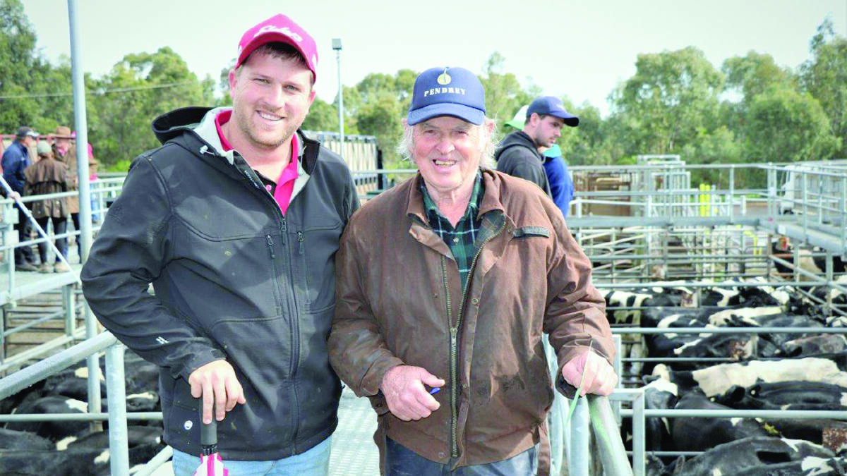 Elders, Busselton representative Jaques Martison (left), inspecting the cattle in the sale with Jim Milner, Busselton, who sold the top price Friesian steers for 468c/kg.