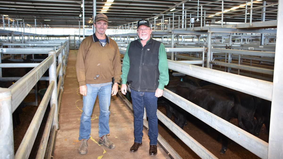 Murray Dodd (left), Jurien Bay, inspected the offering with Nutrien Livestock auctioneer and Dandaragan agent Brad Keevers.