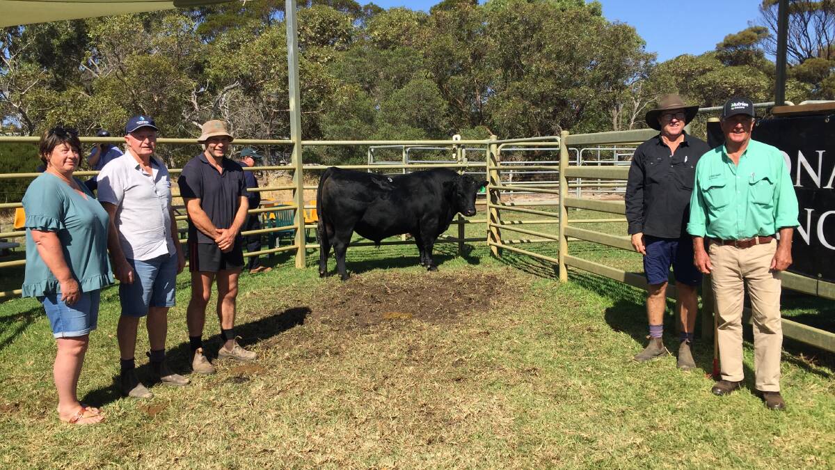 Buyers Karen, Noel and Luke Bairstow, Arizona Farms, Lake Grace, Coonamble Angus stud co-principal Craig Davis and Nutrien Livestock Great Southern livestock manager Bob Pumphrey with the $30,000 top-priced bull at the annual Coonamble on-property bull sale at Bremer Bay on Tuesday.