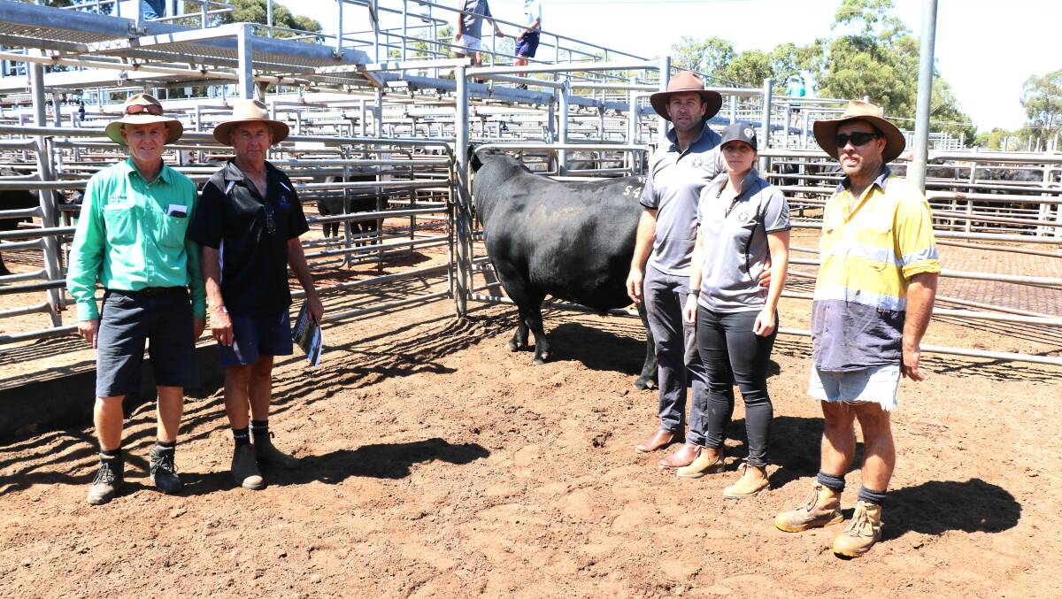 With the $13,500 top-priced bull at last weeks Whispering Pines Angus bull sale at Boyanup which sold to the Walters family, Acton Park, were Nutrien Livestock, Busselton and Margaret River agent Jock Embry (left), Doug Walters, Whispering Pines principals Clayton and Clare Trigwell, Busselton and Darren Walters.