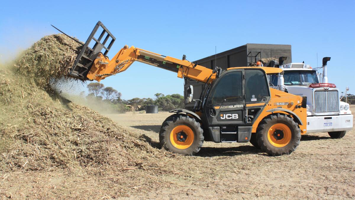 The JCB AGRI 542-70 AGRI Super telehandler in action bucketing a load of eucalyptus leaves and stems on one of multiple eucalyptus plantations throughout the WA Wheatbelt. The nature of the work is a 12-month operation.