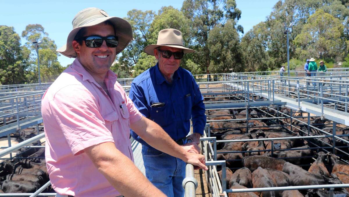 Elders, Harvey/Brunswick representative Craig Martin (left), helped Eric Martin, Collie, select cattle before the sale started.
