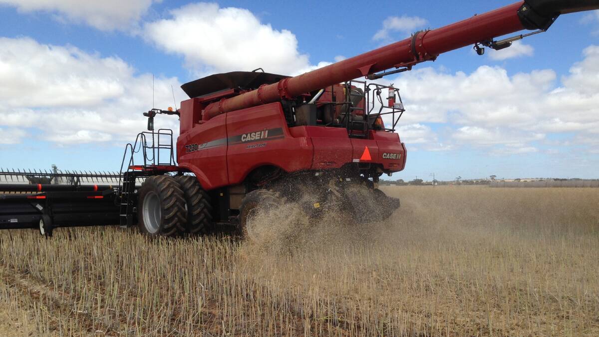Harvesting at the long-term rotation trial at the WA College of Agriculture, Cunderdin. Photo by Ken Flower.