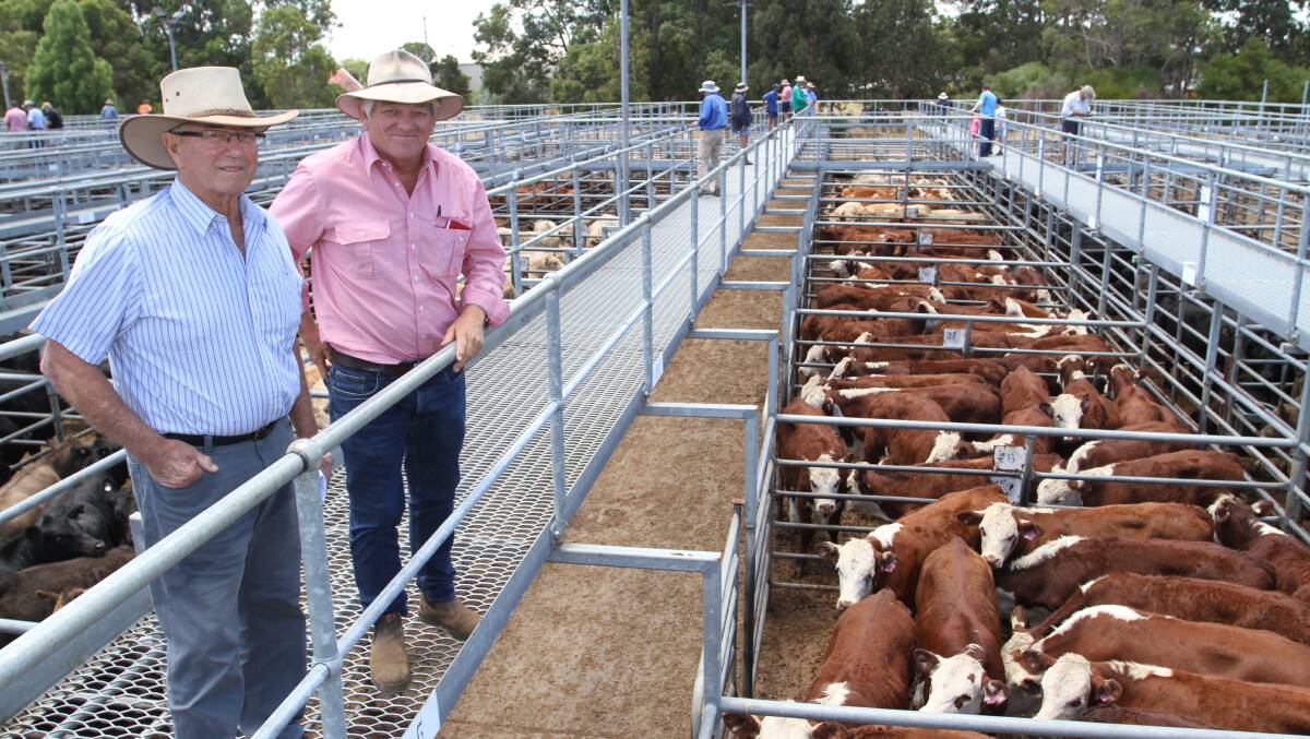 Vendor Jeff Gibbs (left), JL & J Gibbs, Boddington and his livestock agent Graeme Alexander, Elders Williams, with the Gibbs family's draft of 57 Hereford steer weaners which sold to $1582 and the Elders top liveweight price of 492c/kg.