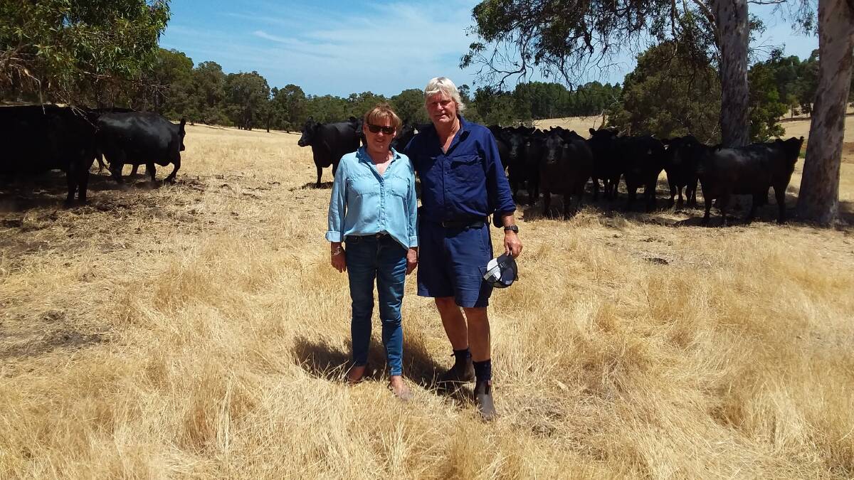 Henryka and Andrew Jenkins at their 263 hectare property, Toolleen, at Yarloop.
