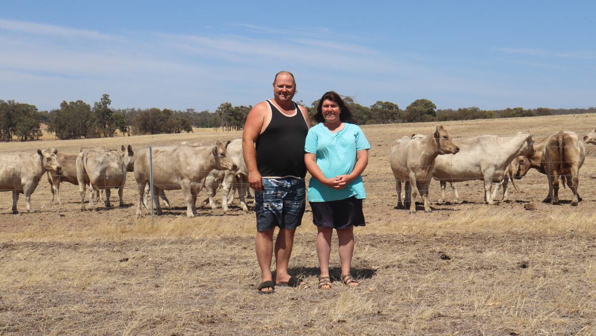 Ian and Cindy Simmons at their Jelcobine farm. They run 110 Murray Grey breeders, down from their usual 130 breeders due to drier seasonal conditions.