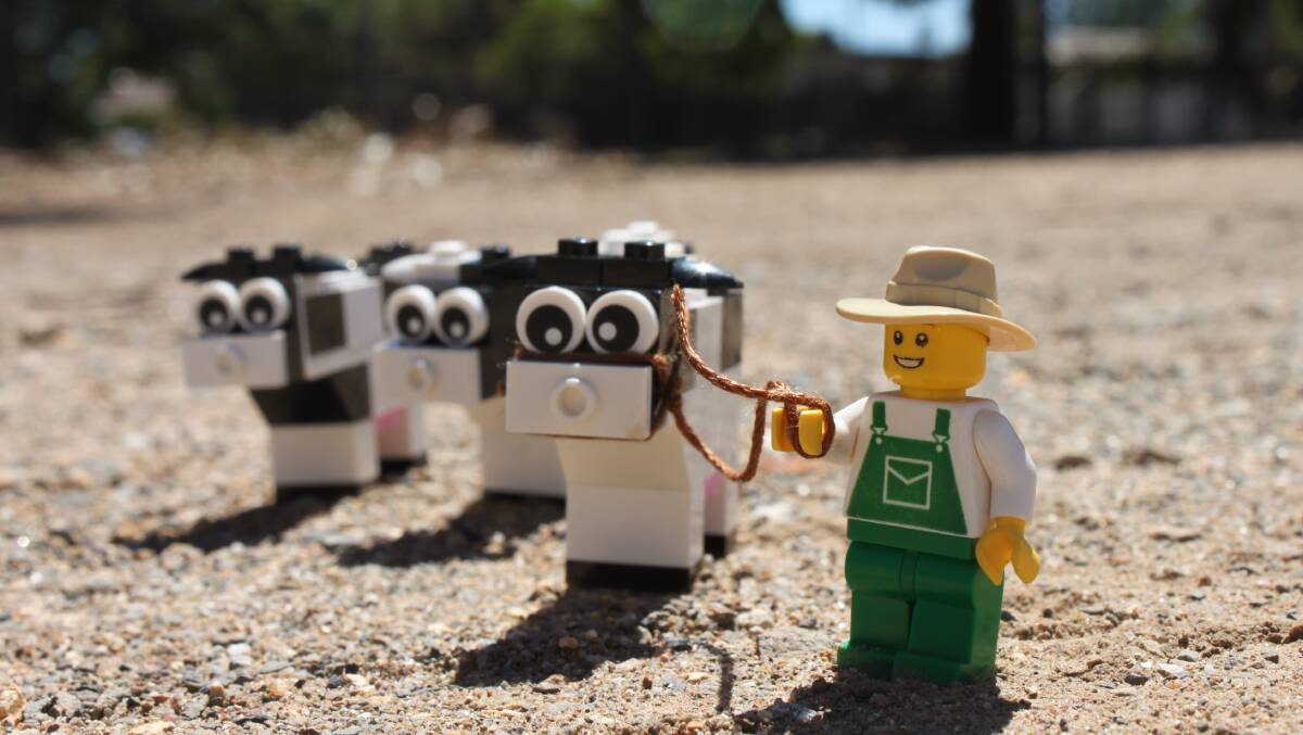 The LEGO Farmer showing some of his dairy cattle.