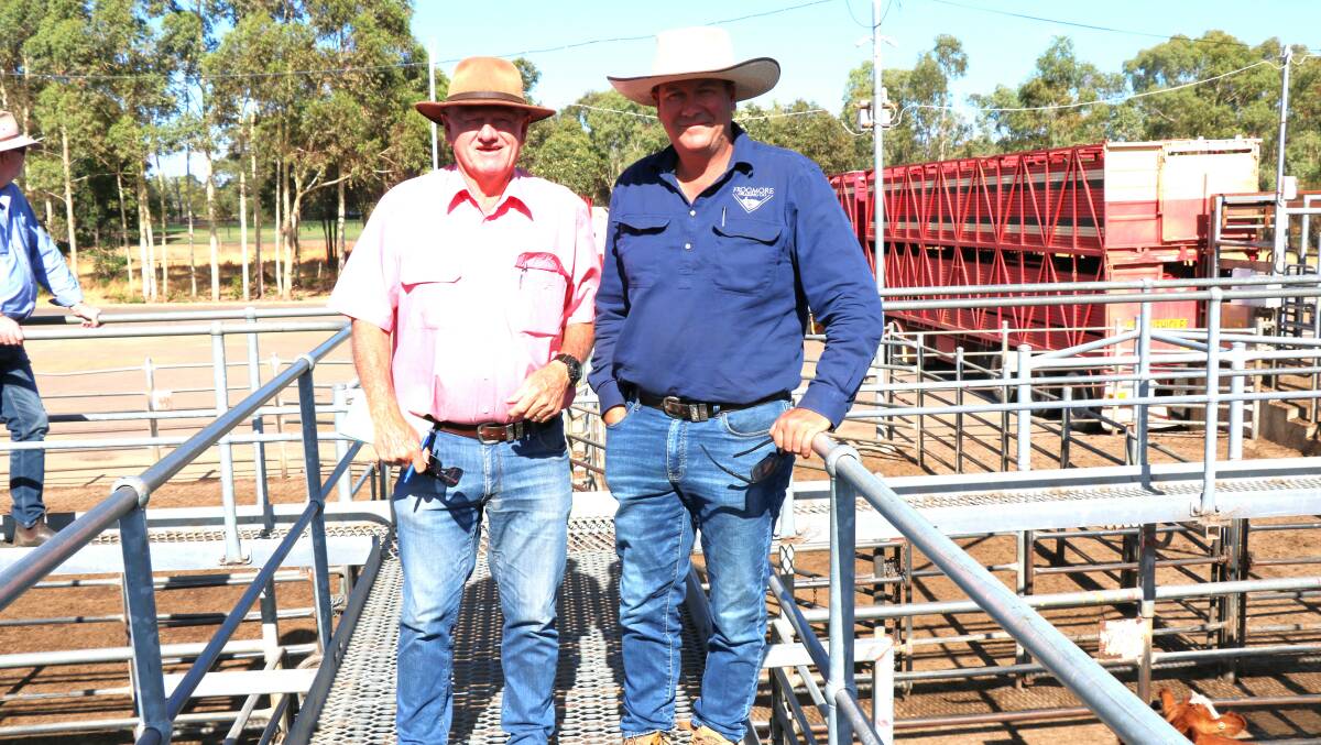 Deane Allen (left), Elders, Bridgetown, with Rodney Galati, Brunswick, before the sale. Mr Galati has been a dominant buyer at recent Boyanup sales and bought 10 pens at last weeks sale.