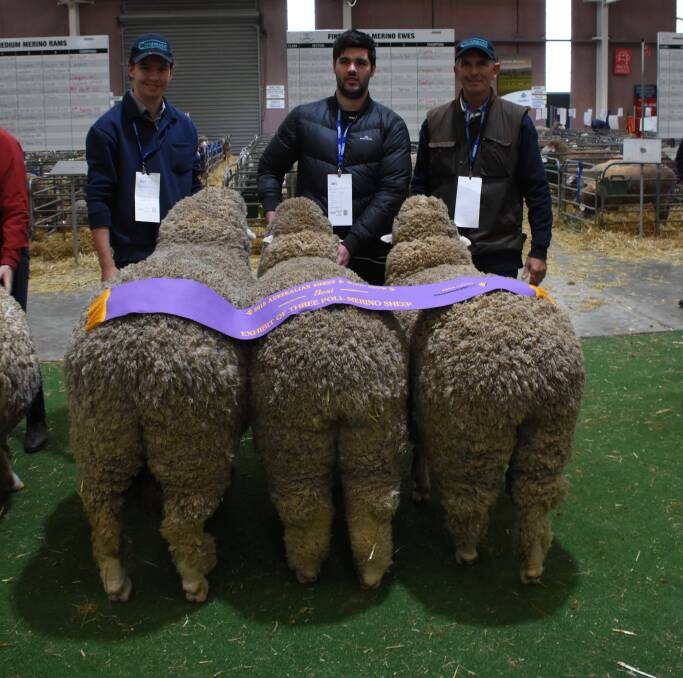 The Campbell family's Coromandel stud, Gairdner, won the group class for three Poll Merino sheep (one ram and two ewes). Holding the winning team were Tom Campbell (left), Naithe Gooch and Coromandel stud principal Michael Campbell.