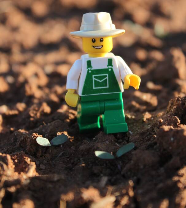 The LEGO Farmer, launched about five yeras ago, is the main character of the phenomenon Little BRICK Pastoral. LEGO photographs by Little BRICK Pastoral.
