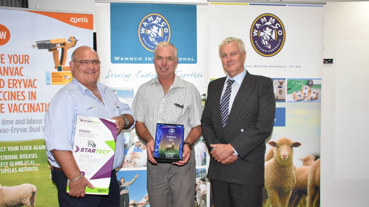 The winners of the medium crossbred supplier category was the Lynch family, Hyden. Congratulating Tom Lynch (centre) on his family's win were Ben Fletcher (left), Zoetis, which was a sponsor of the awards and WAMMCO chairman Craig Heggaton.