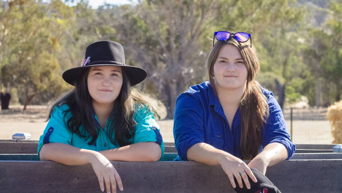 Farming sisters Haylee (left) and Alanah Boxall, Arthur River, share a love for the sheep industry.