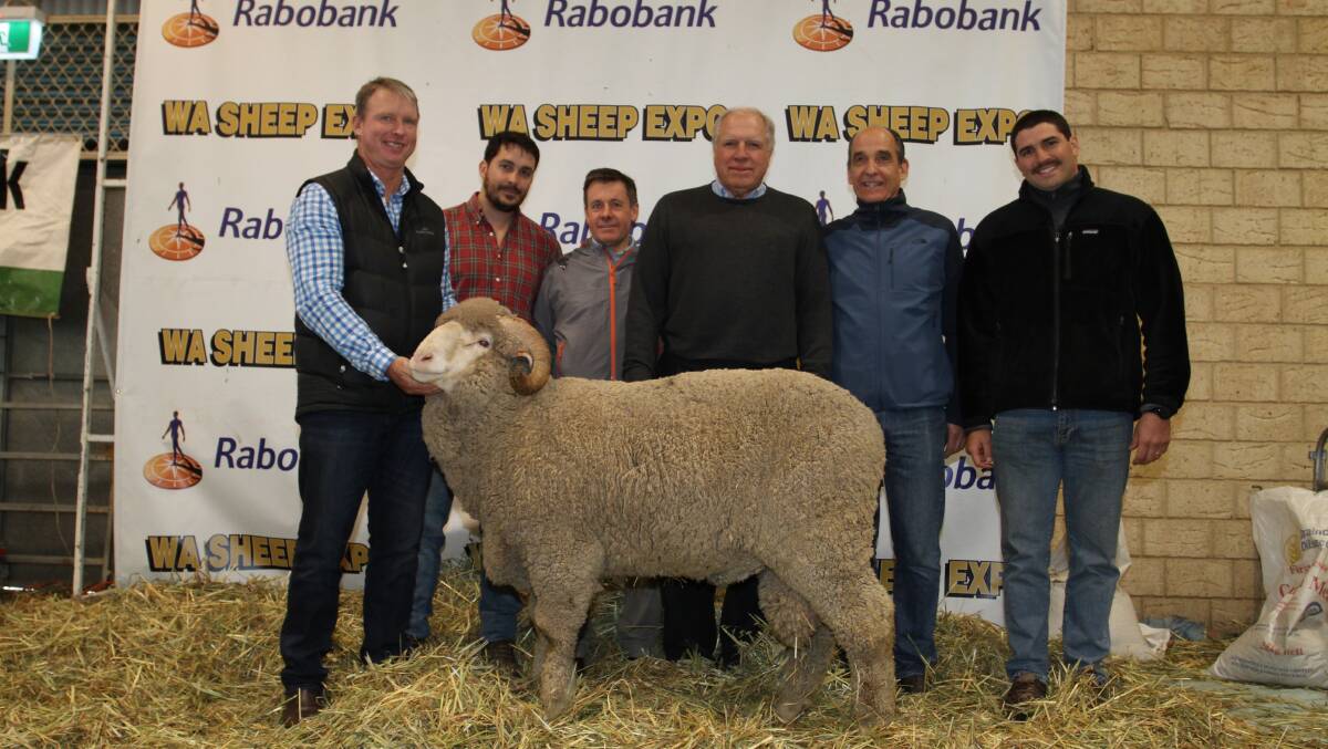 This East Mundalla Merino ram was purchased privately by the Tecka stud, Argentina, for $14,000. With it is East Mundalla co-principal Daniel Gooding (left) and Tecka stud connections Agustin Ramirez, Carlos Moralejo, Guillermo Paz, Adolio Ramirez and Fermin Paz, who were all visiting WA for the first time.