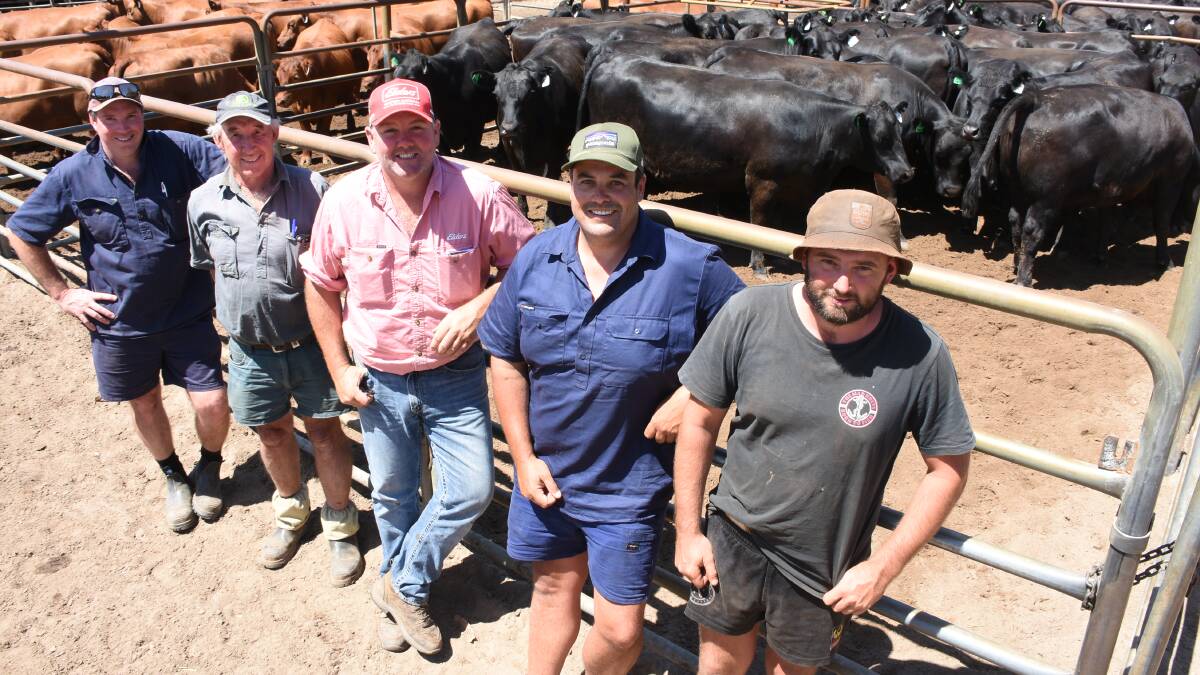 In the PTIC Angus heifer offering, prices hit a high of $3200 twice for heifers from the Waugh family, TJ & MB Waugh, Manjimup. All up the Waughs sold 32 heifers (four pens) at an average of $2963 and all of their heifers were purchased by the Blakers family, CT Blakers Farming, Manjimup. With the heifers were buyers Shane (left) and Bevan Blakers, Elders, Manjimup/Pemberton representative Brad McDonnell, vendor Brett Waugh and Matt Ellice.