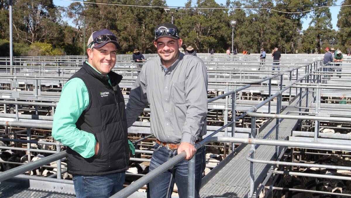 Buyer and Nutrien Livestock Central Midlands and Wheatbelt representative Leno Vigolo (left) and buyer of cows and calves and PTIC heifers Maverick de Burgh, Bullsbrook, before the Boyanup sale.