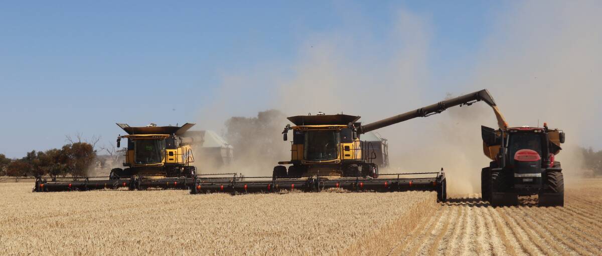 Their 2019 program comprised 6800 hectares of barley, wheat, canola, lupins, oats and vetch.