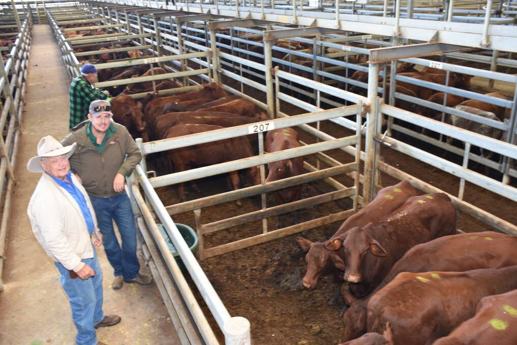 Vendor Les Parsons (left), Coolawanyah station, Tom Price and Nutrien Livestock pastoral agent Leon Goad with Coolawanyah's Santa Gertrudis heifers that topped at $1915 for PTIC lines and 582c/kg for PTE heifers at the Nutrien Livestock store cattle sale at the Muchea Livestock Centre last week.