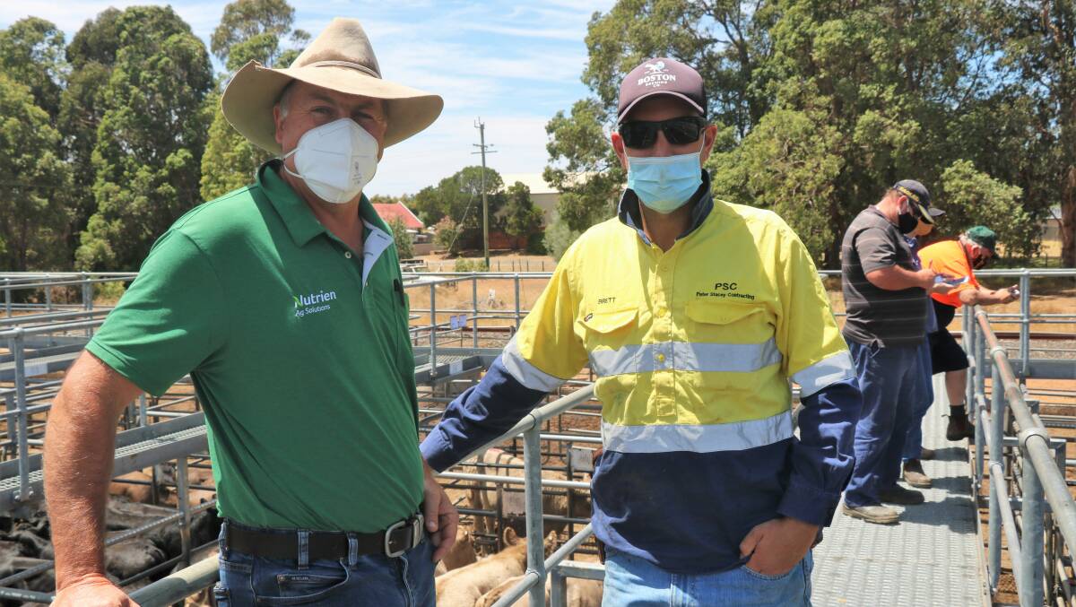 Nutrien Livestock, Waroona agent Richard Pollock (left), with client Brett Stacey, Waroona before the Boyanup sale. Mr Pollock bought a number of lines of cattle for his clients.