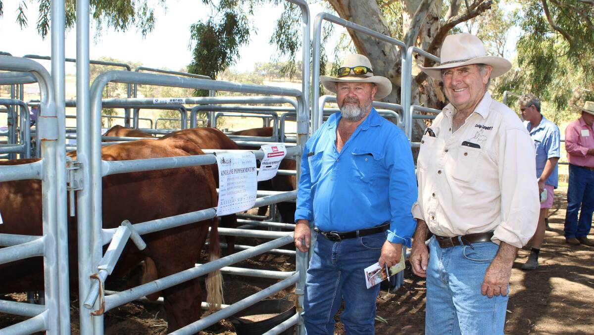  Brothers Geoff (left) and Leigh McLarty, Blythewood Pastoral Company, Pinjarra, made the trip down to view the quality bulls that were up for the taking at Monday's sale.