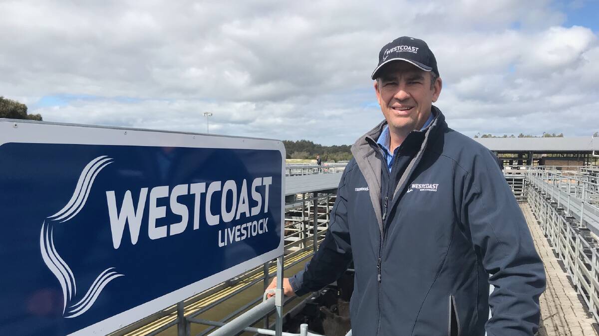 New Westcoast Wool & Livestock representative Sean Gillespie, pictured at the Mount Barker Regional Saleyards, where the company now has a selling position.