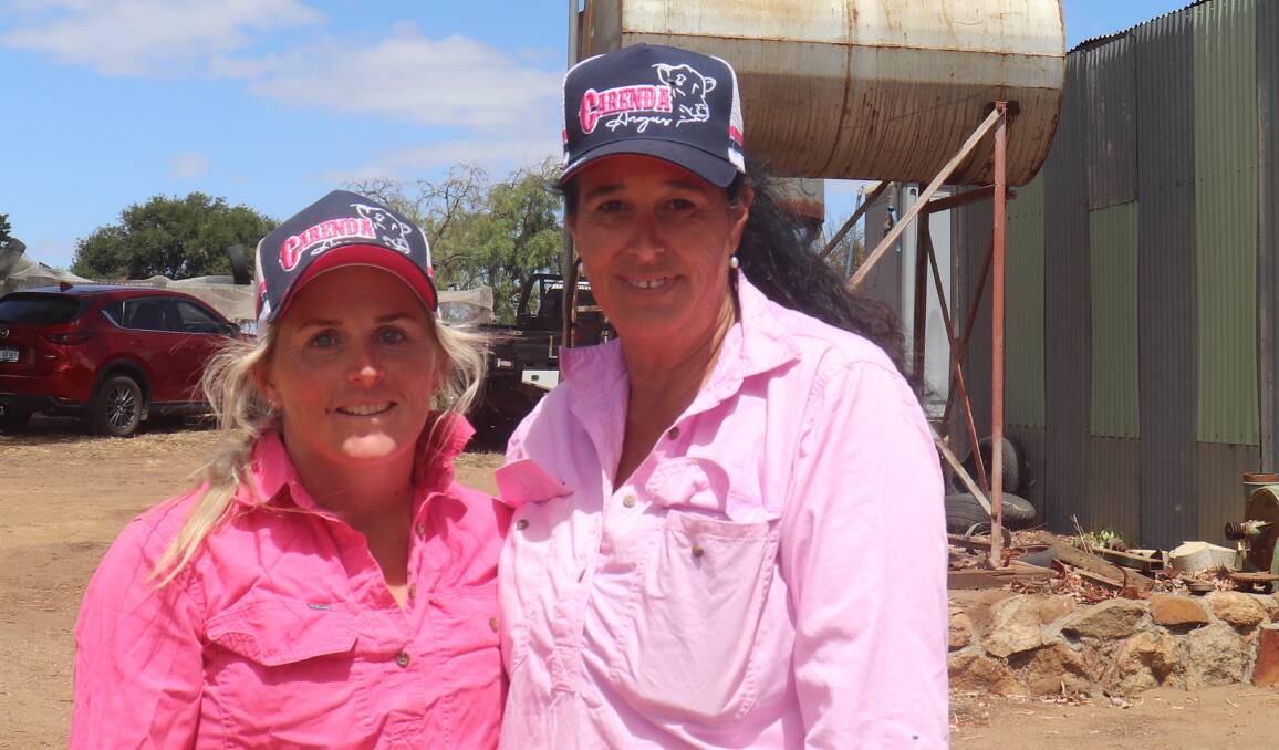Catching up before the sale was Carenda stud co-principal Daniegh Kitchen (left), with her good friend Robyn Quill, Duranillin.