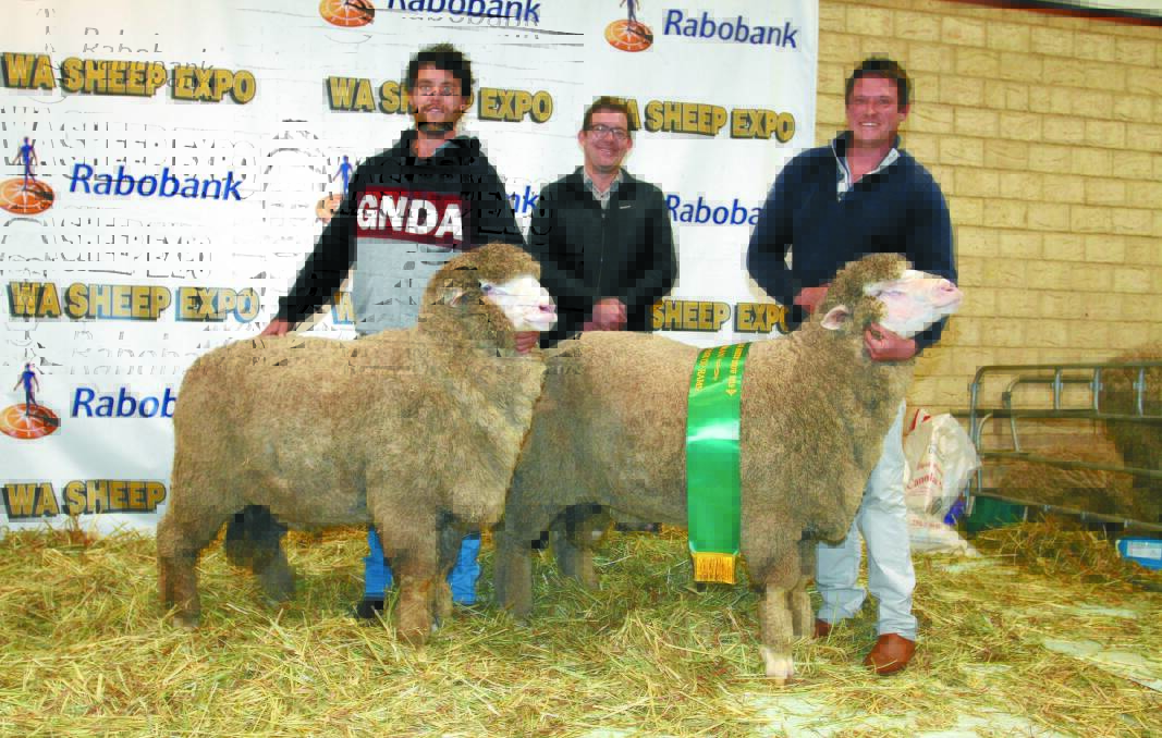 GRAND CHAMPION PAIR OF RAMS: Holding the grand champion pair of rams and champion pair of March shorn rams exhibited by the Mianelup stud, Gnowangerup, were stud connections Josh Leppens (left) and Elliot Richardson, congratulated by Rabobank Albany branch manager Craig Matthews.