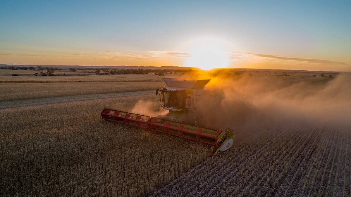 Englishman Fred Gittus has been reminiscing about harvest in Australia, including WA, last year. Unfortunately he had to leave Australia when COVID-19 came but he sure does have some great photos to look back on. Photo by Fred Gittus (@fredz682).