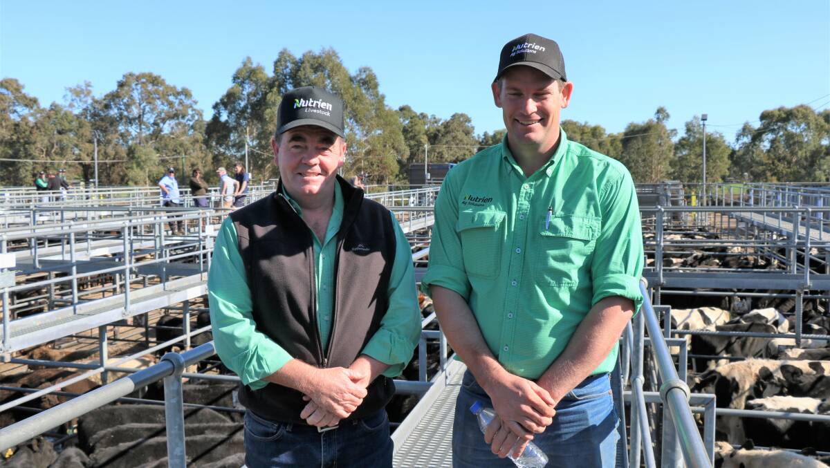 Jamie Abbs (left), Nutrien Livestock, Boyup Brook, on the rail with recently appointed Nutrien Livestock Boyanup yard supervisor Chris Dunlop.