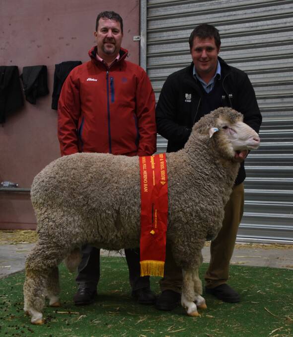 This ram from the Seymour Park stud, Highbury, was sashed the reserve champion March shorn fine/medium wool Poll Merino ram. With the ram were Seymour Park classer and Elders stud stock representative Nathan King (left) and Seymour Park principal Clinton Blight.