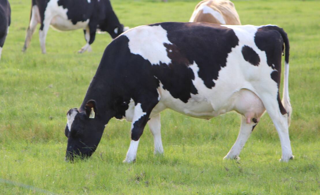 Dairy industry to get first-hand recall
