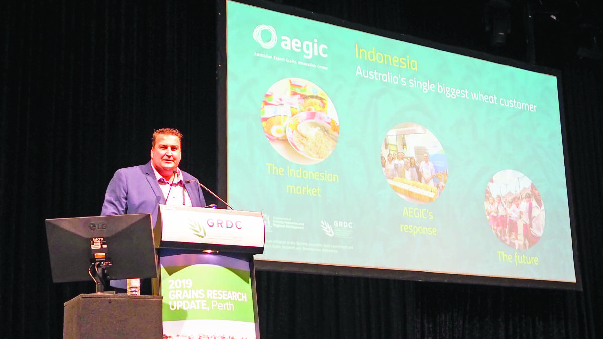  AEGIC chief executive officer Richard Simonaitis addressed last week's GRDC Grains Research Updates, speaking on the upside that existed in the Indonesian grain market.