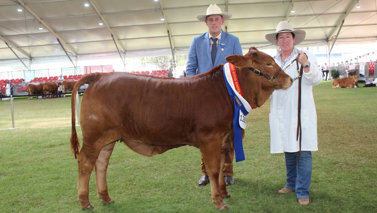 A 10 month-old heifer Quicksilver 8/804 (P) (AI) was given the junior and grand champion female ribbons from judge Harris Thompson (left), Venturon Livestock, Boyup Brook, in the Other Recognised Breeds category. With Mr Thompson is handler Casey Morris, Narrikup.