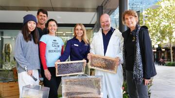 A contingent from the Department of Primary Industries and Regional Development and the Bee Industry Council of Western Australia will be back at Perth CBDs Murray Street Mall to celebrate World Bee Day, tomorrow, Monday, May 20.