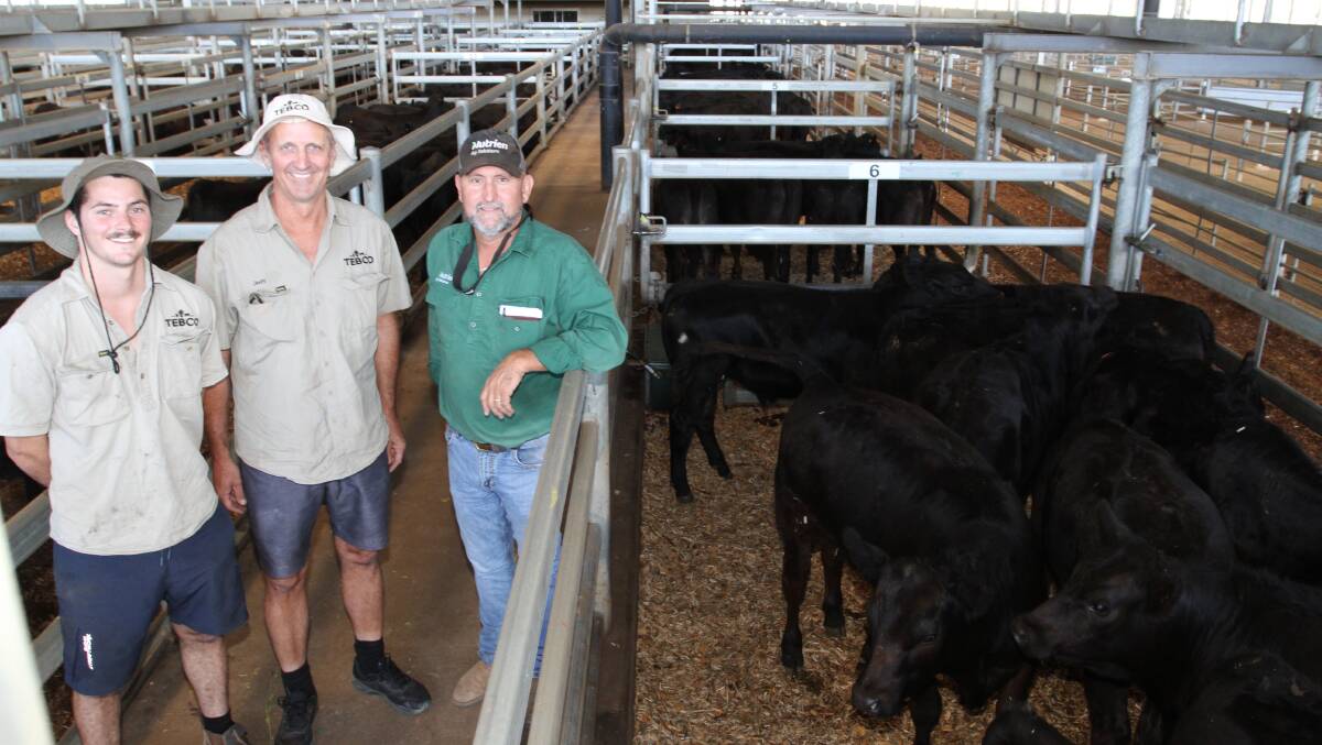 Vendors Brendan (left) and Jeff Cocking, Tebco Enterprise Pty Ltd, Dongara and Nutrien Livestock, Mid West and Wheatbelt agent Craig Walker with some of the Cocking familys Angus steers that sold to the sales top price of $1839 and 460c/kg at the Nutrien Livestock Black Friday Weaner and Breeder Sale at the Muchea Livestock Centre last week.
