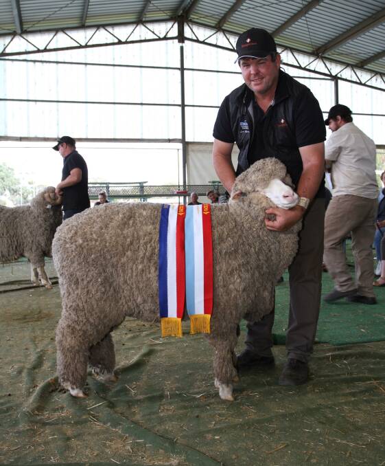 The Rangeview stud, Darkan, exhibited the grand champion Poll Merino ewe and champion fine wool Poll Merino ewe. With the winning ewe was stud principal Jeremy King.