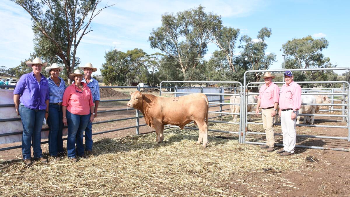  Prices hit a high of $18,000 at last week's Liberty Charolais and Shorthorn Yearling Bull Sale at Toodyay for this Charolais yearling bull, Liberty Springsteen S32 (AI) (P) (R/F) when it sold to High Country Droughtmasters, Esk, Queensland, operating on AuctionsPlus. With the bull were Liberty stud's Jess (left), Morgan, Robin and Kevin Yost, Elders, Gingin agent Geoff Shipp and Elders WA stud stock manager Tim Spicer.
