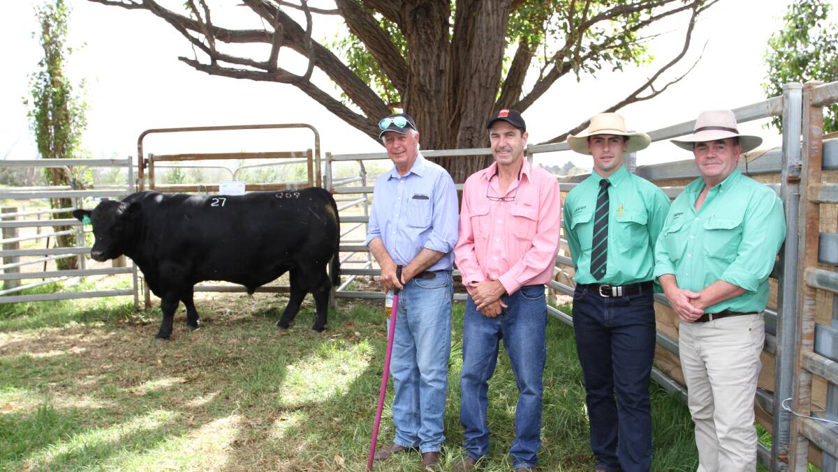 With the $14,500 top-priced Angus bull Monterey Quarterdeck Q69 (by Prime Up River N40) at the Monterey bull sale last week were Monterey stud principal Gary Buller (left), Karridale, Elders Margaret River agent Alec Williams, Nutrien Livestock trainee Austin Gerhardy and Nutrien Livestock Boyup Brook agent Jamie Abbs. The bull was purchased by a New South Wales buyer on AuctionsPlus.