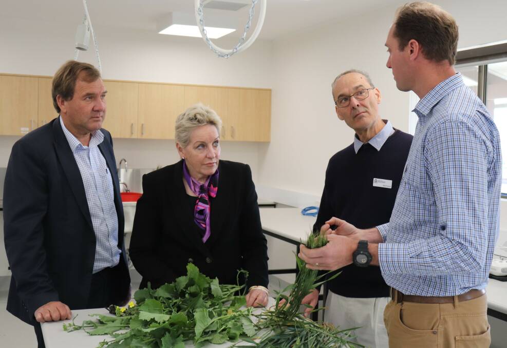 Agricultural Region MP Darren West (left) and Agriculture and Food Minister Alannah MacTiernan had a guided tour of DPIRD's upgraded Merredin facilities last week. They are pictured with DPIRD senior research officer Bob French (middle) and DPIRD research officer Dion Nicol, who explained some research projects being undertaken by the team.