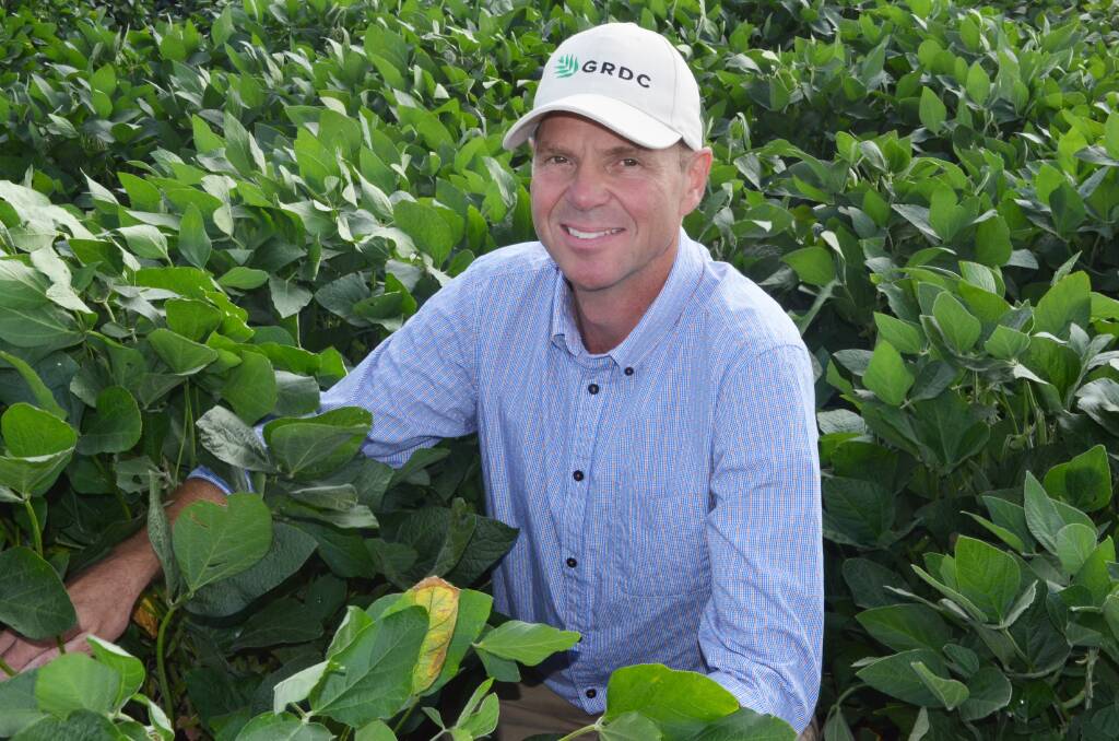  GRDC chairman John Woods has encouraged growers to share their insights and perceptions about the drivers, threats and opportunities facing the industry. Photo by GRDC.