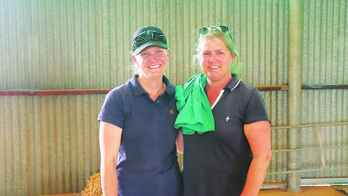 Shannon Smith (left), Northampton and Tanya Husbands, Northampton, caught up at the Northern Breeders Ram Sale at Northampton ram shed this week. The Husbands finished the day with a total of six rams from the Walkyinder and Sandhurst studs.