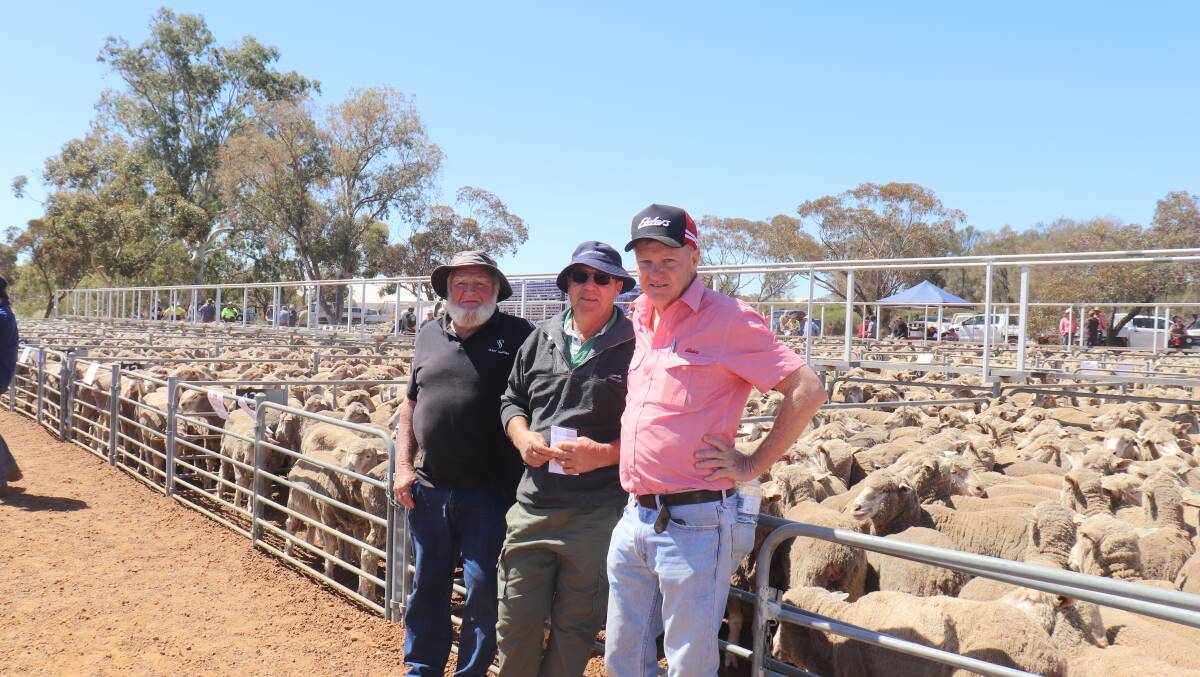 Brian Trundle, Curlin, Bert Garbin, Bruce Rock and Elders commercial sheep manager WA Mike Curnick discussed the lines of sheep on offer at the Corrigin leg of the Elders circuit sale.