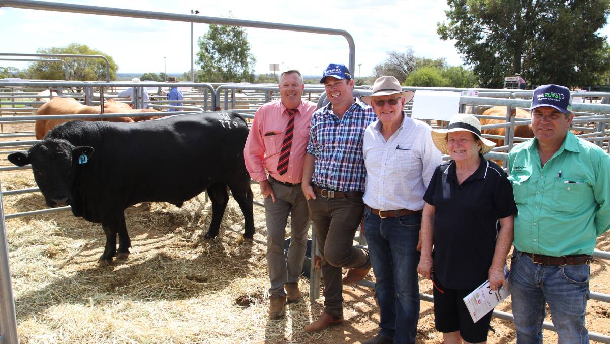 Lim-Flex bull Tara Topdeck T79 (by Tara R103), topped the Limousin section of the sale when it sold to the Terpstra family, Aldgate Limousin stud, Waroona. With the bull were Elders Gingin, livestock, real estate and stud stock representative Graeme Curry (left), Tara Limousin stud principals Brad and Peter Kupsch, Allanooka, buyer Pat Terpstra and Nutrien Livestock, Mid West and pastoral agent Richard Keach.