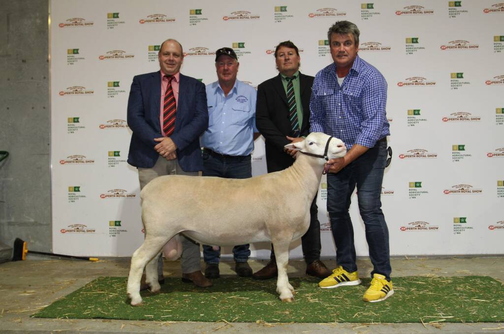 Values topped at $14,000 for a Curlew Creek Poll Dorset ram at the 2019 Perth Royal Show All Breeds Stud Ram and Ewe Sale last Friday. With the top-priced ram, purchased by the Sutherland family, Deloraine Downs Poll Dorset stud, Konongwootony, Victoria, were Elders zone livestock manager west, Simon Wilkinson (left), buyer representative Laurie Fairclough, York, Landmark Breeding representative Roy Addis and Curlew Creek stud principal Collyn Garnett.