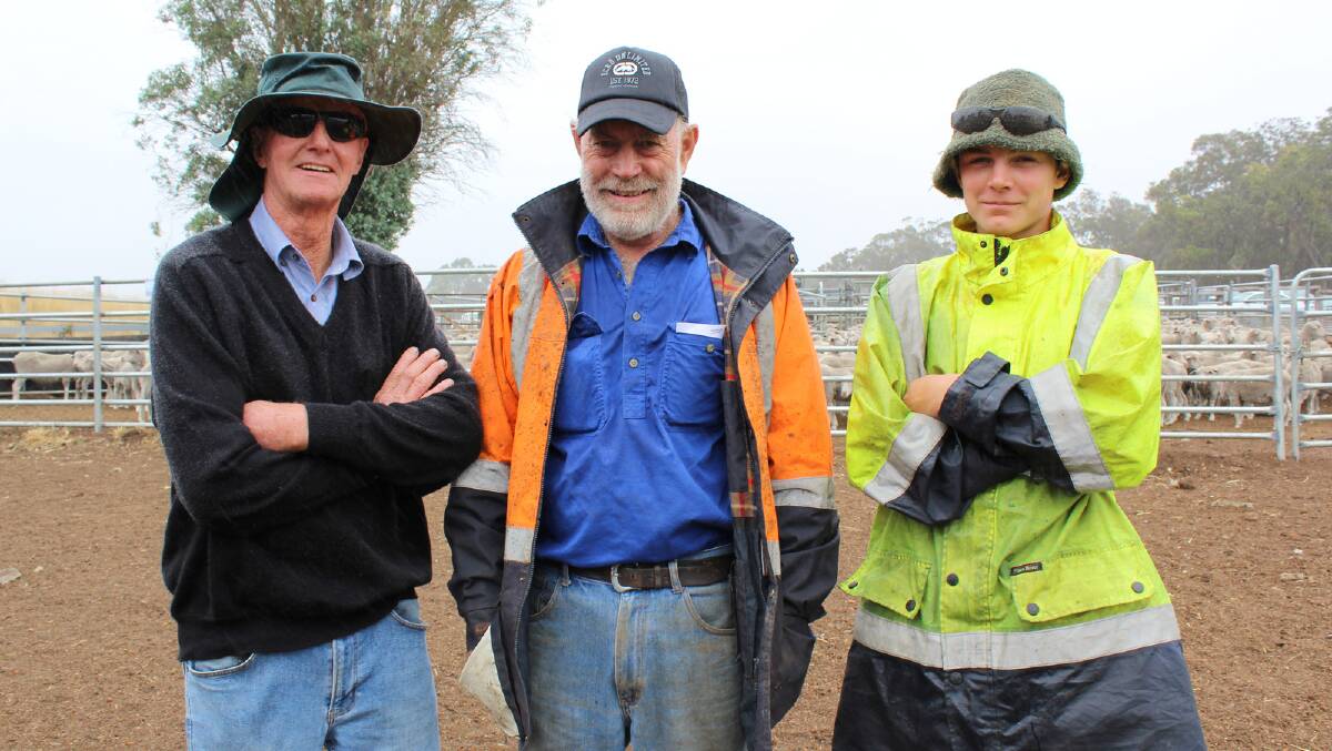 Having a look at the sheep lines at the Quangellup clearing sale last week were Bruce Parsons (left), Nunijup, Tim Saggers, Kendenup and Patrick Power, Kendenup. Mr Saggers purchased a line of 107 4.5yo ewes as well as a line of 107 3.5yo Merino ewes at the sale for $120 across the board.