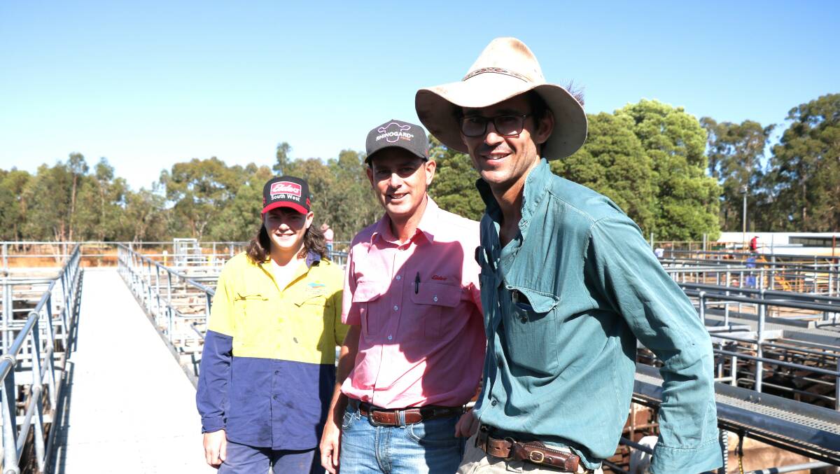 Alessio Cavallaro (left), Bunbury, who is doing work experience with Elders, with Elders South West livestock manager Michael Carrol and Brendan Guidici, Donnybrook, before the combined agents weaner sale at Boyanup last week.